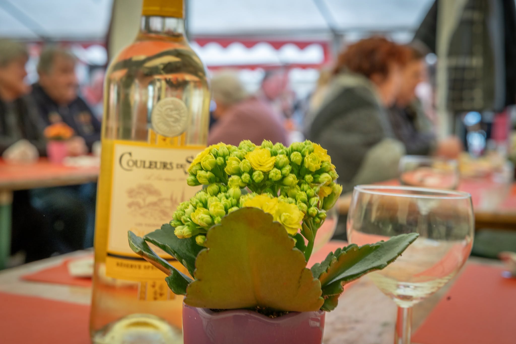 Illustration souvenir : Repas de printemps